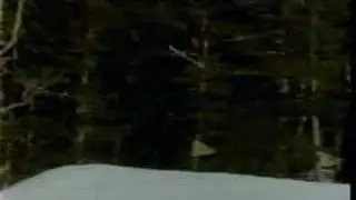 Boardsession.com FS 900 Slopestyle