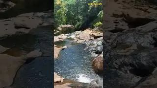 Found the Most Beautiful Secret Waterfall in Sri Lanka 🌿💧 #discovery #nature #shorts