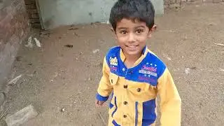 Birds 🐦🐦🐦🐦 viral videos 