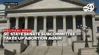 LIVE: SC Senate Subcommittee holds another hearing on more restrictive abortion measures