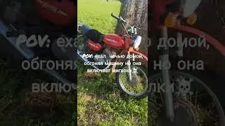 Пов😁#pov#гайцы#шкода#дпс#минск#поля#дорога#иж#днепр#fyp#viral