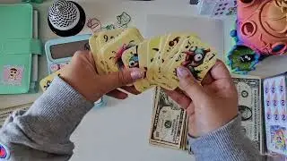 A Mini Year of Savings + NEW Randomizer | Jan Week 2 | $35
