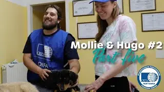 OIPA | Partanna | Mollie & Hugo #2 | Part Five | Kelp Social
