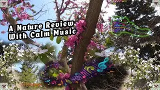 Nature Close-up 🌸🌹 A Nature Review With Calm Music 🌹 World of nature tv 📸