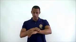Cerebelo