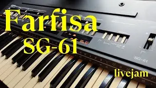 Farfisa SG-61 (1983 analog presets personal keyboard) - ReSlice & Enso Looper LiveJam