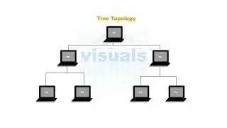 LAN & WAN Topologies