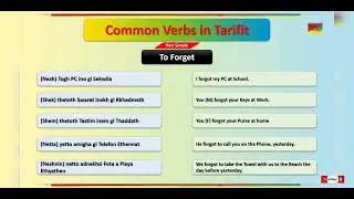 'Togh' (to FORGET) in Tarifit | 5 everyday sentences - Let's Talk Tarifit