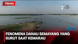 Indahnya Danau Semayang Surut dan Jadi Daratan saat Kemarau, Ditumbuhi Rumput Hijau