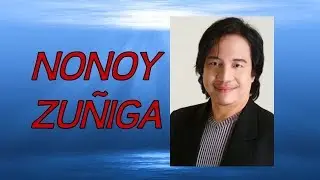 Fragments of Forever - NONOY ZUNIGA Karaoke
