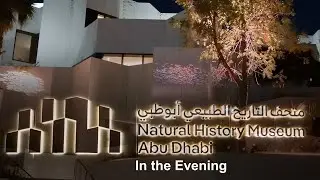 The Natural History Museum Abu Dhabi at Night 🌙 | Dinosaurs, Architecture & Atmosphere
