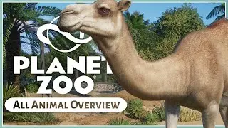 Совершенно новые животные! | Набор животных Planet Zoo Arid