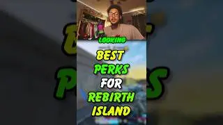 the Best Perks for REBIRTH ISLAND 🏝️
