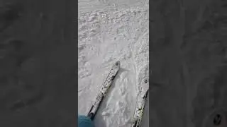 Ski are&aacute;l Modr&aacute; hvězda