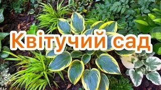 КВІТУЧИЙ САД. БОРОТЬБА зі СЛИМАКАМИ. НОВИНКИ. 🧡🌿