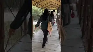 ANIMAL PARK || #animals #birds #travel #viral #trending #youtubeshorts #shorts #shortvideo #short