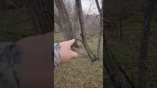 Hunting the Pre Rut in the Berkshires 11/5/25