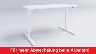 Actiforce Schreibtischgestell Steelforce Pro 300