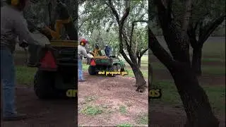 How Farmers deal with squirrels