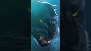 black panther #shorts #wildlife #wildanimals #wild #nature #blackpanther #viral #trending #zoo