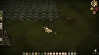 How to get Pig Skin - Don't Starve