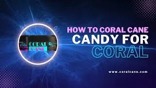 Coral feeding with Quantum Coral Cane and Bio-Enhance!