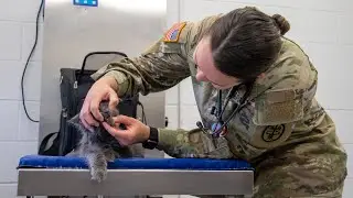 Visit to the Fort Knox Veterinary Clinic