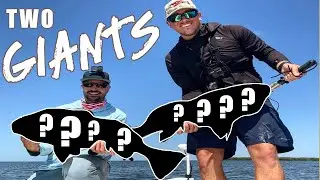 Fishing Yankeetown inshore produces HUGE PB while sight casting!!!