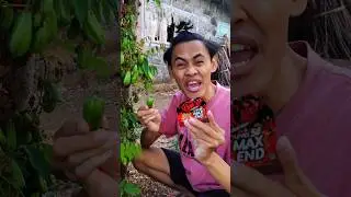 Belimbing boncabe level 50 max pedas 🌶 #komedi
