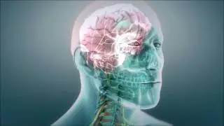 Medical Narration Voice Overs | Pharmaceutical, Elearning, Science, Medicine  - www.voiceofgarth.com
