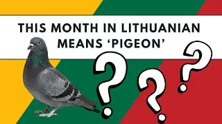 Изучение литовского языка: месяцы года. Тест для начинающих.