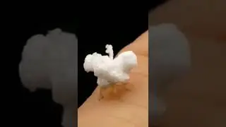 ИНОПЛАНЕТНЫЙ БЕГАЮЩИЙ ЖУК-ПОПКОРН #shorts