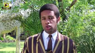 Wise Owl Student Testimony