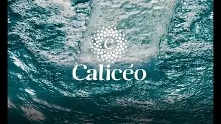Rejoignez l'aventure Calicéo !
