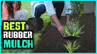 Top 5 Best Rubber Mulch for Playground/Landscaping/Flower Beds & Dogs [Review 2026]