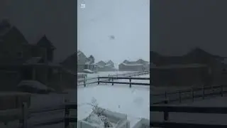 #dreame #winter #dawasakewi