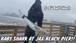 JAX BEACH PIER SHARK FISHING