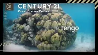 Frases que motivan - Century21 Coral BR