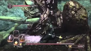 Dark Souls 2 - Demon of Song Boss Fight [HD] (Melee)