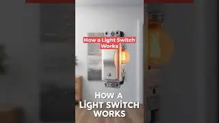 20-Inside the Light Switch Mechanism #Education #Shorts