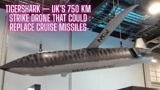 Britain's next-generation TigerShark drone, with a range of 750 km, could replace cruise missiles.