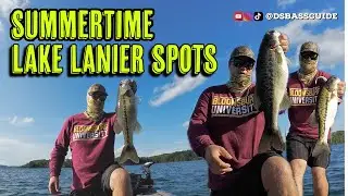 Summertime Spotted Bass Fishing on Lake Lanier - WE'RE BACK!!! Drop shot/Fluke Fishing Brush