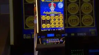 #highlimit #casino #slot #slottime ##slotmachine #jackpot #highlimitslots Peppermill Casino