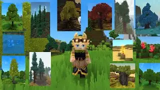 Vị tr&iacute; tất cả c&aacute;c loại gỗ trong Hytale | All Wood Hytale