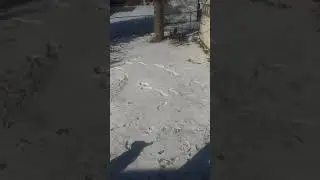 Furries are snowflakes, and I'm surrounded by them