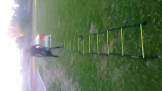 brock waters ladder drill