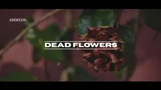 Addixon - Dead Flowers