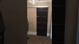 Contemporary Wall Mount