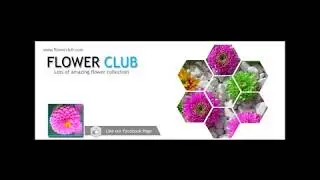 How to Create Facebook Timeline Cover page in photoshop cc cs6  Bangla Tutorial04