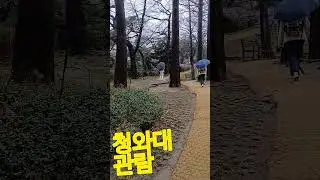 청와대 입구. In front of the blue house. #청와대 #seoul #korea